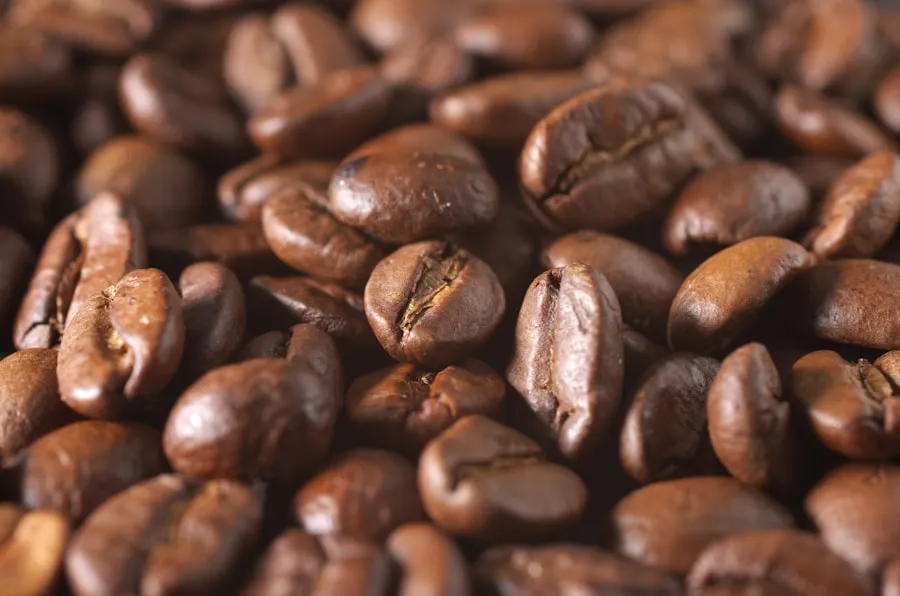 Single-Origin Trio — Three 250g Bags, Roast-Dated